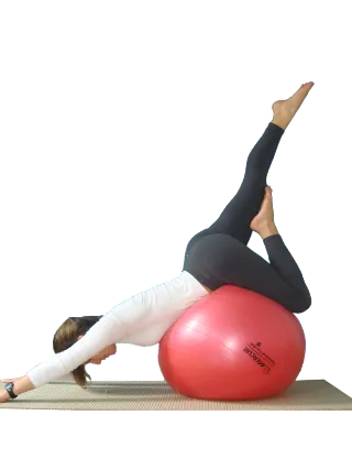 Equipamiento profesional de pilates reformer